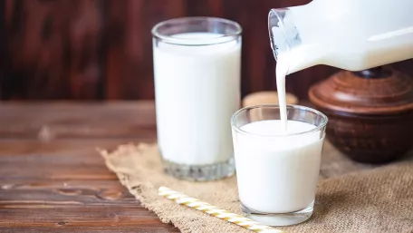 Wie funktioniert fermentieren?