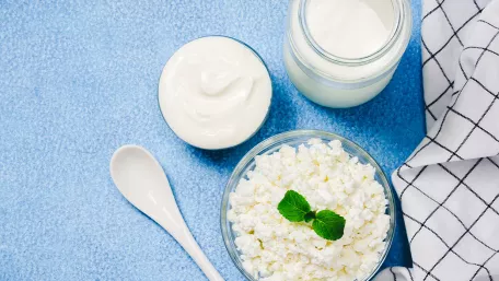 Fermentierte Milchprodukte
